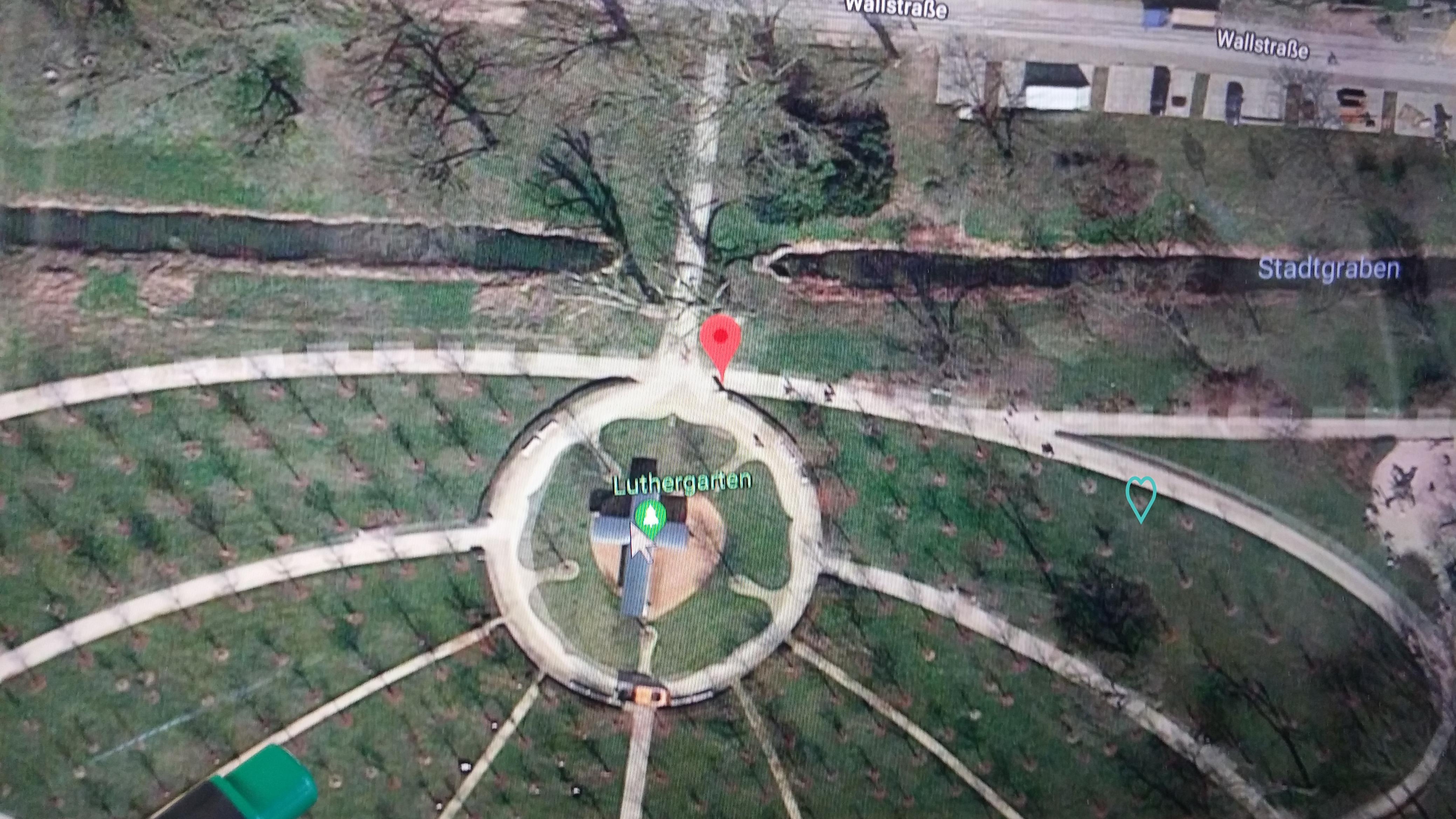 Geo-Daten Baum 71 Luthergarten Andreasbreite; Basis maps.google