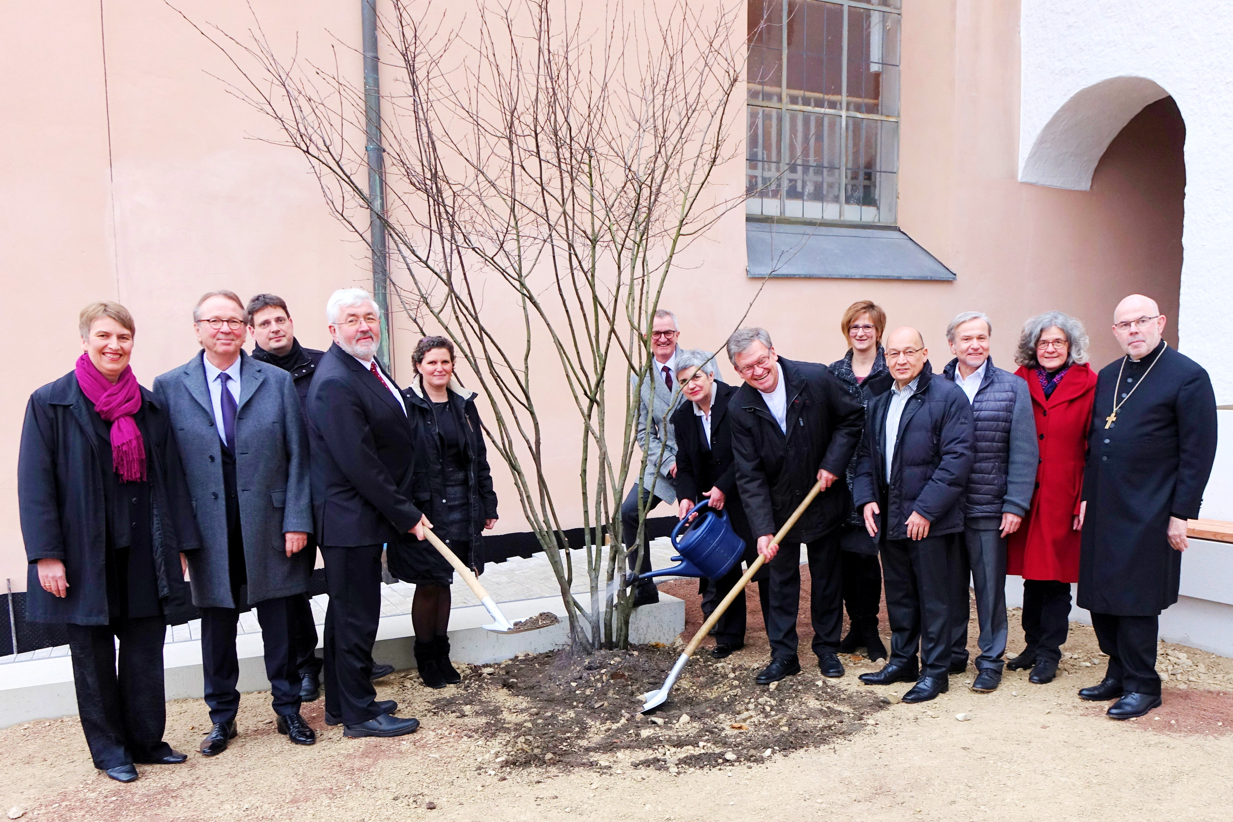 26.11.2016 Baumpflanzung im Zuge der Baumaßnahmen Evang. Zentrum